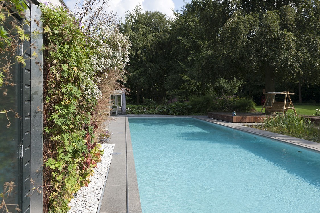 Combining the Old and the New in a Living Pool