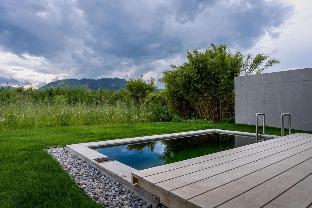 Private Biotop Living Pool at the Hotel Bergeblick for every lodge