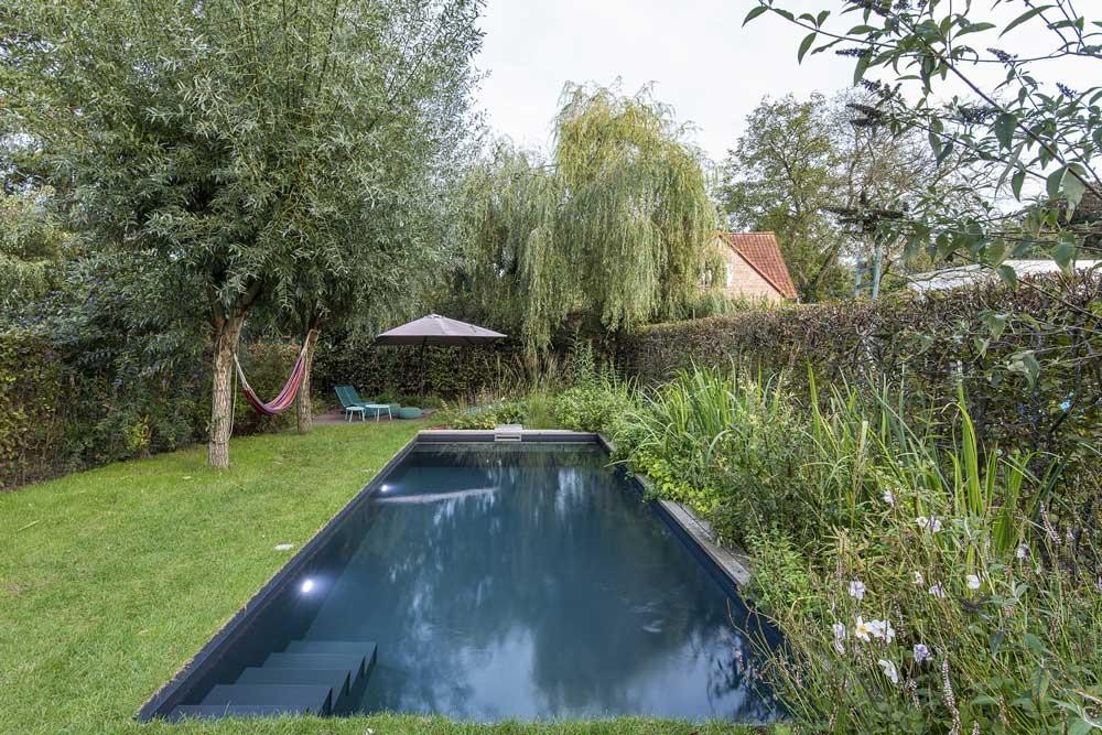 Natural pool in a quiet garden with willow tree, lawn and planting