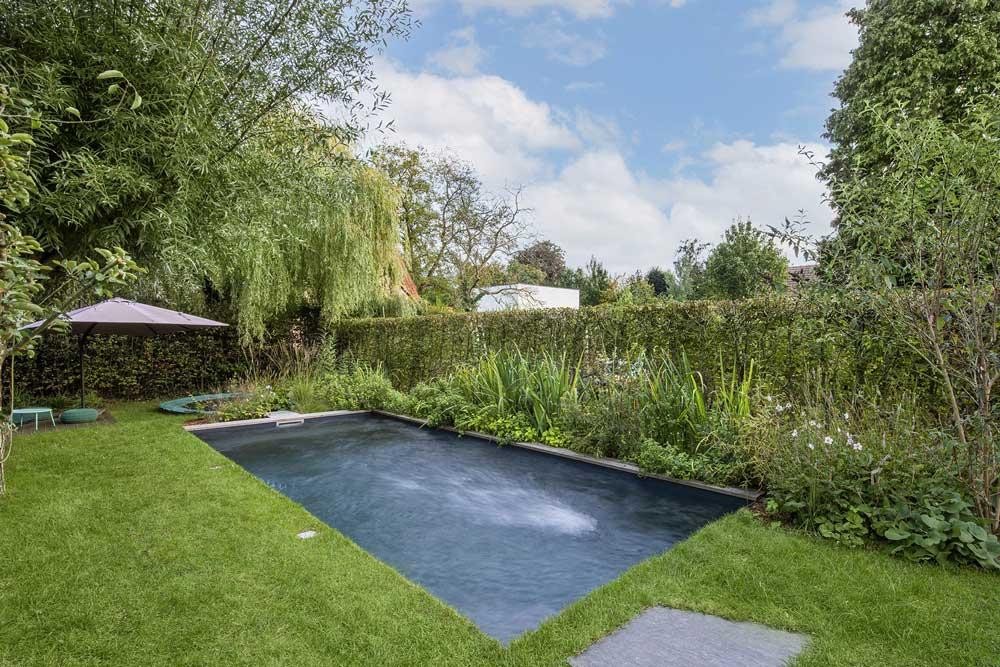 Natural pool with planted regeneration zone in a green garden
