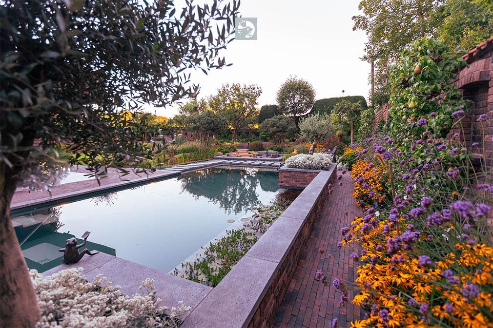 Natural pool with flower bed and garden wall in evening light