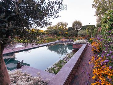 Natural pool with flower bed and garden wall in evening light
