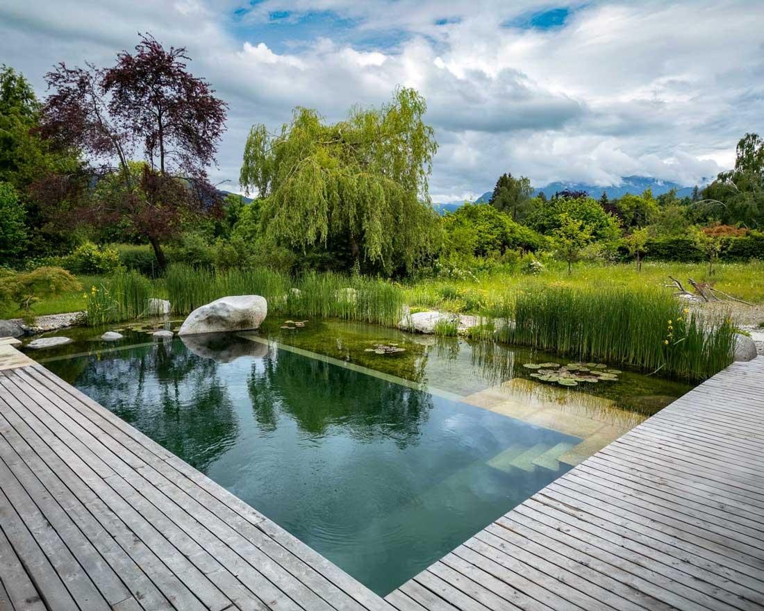 Natural pool with wooden deck, reeds and mountain view in a nature inspired garden