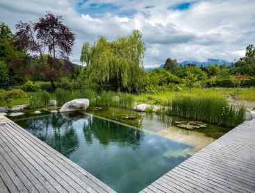 Natural pool with wooden deck, reeds and mountain view in a nature inspired garden