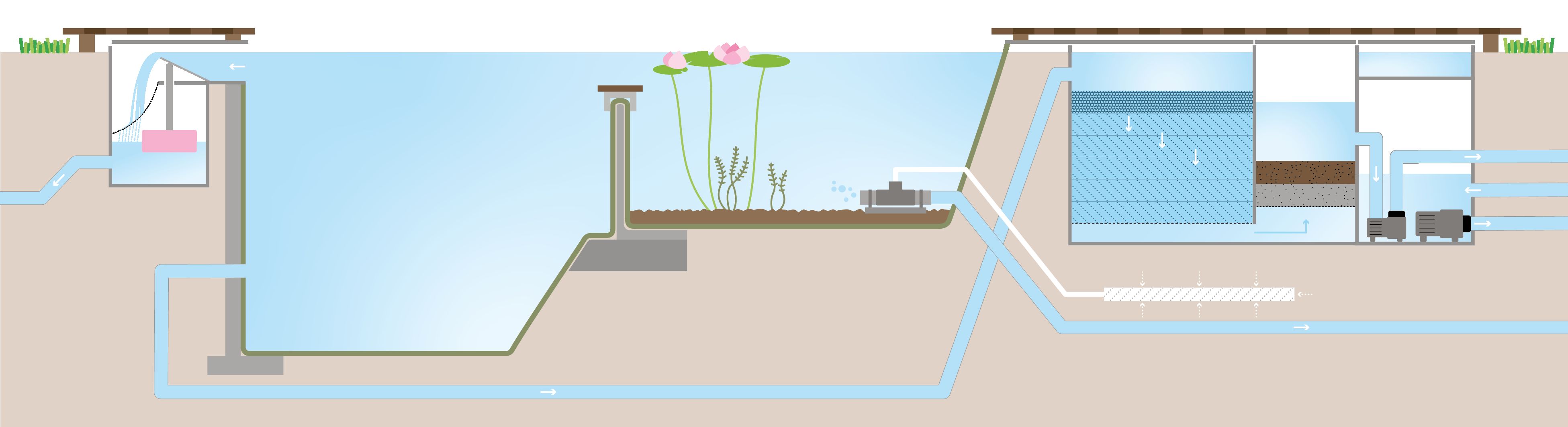 Cross section of a Biotop Swimming Pond with built in Combi Box