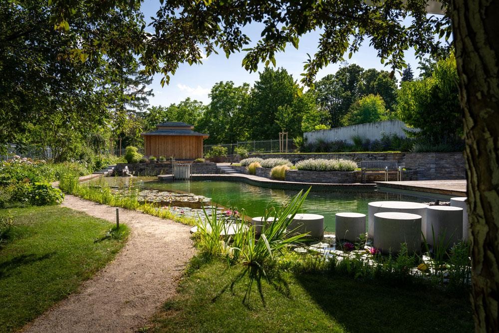 Biotop swimming pond with water lilies stepping stones and landscaped garden