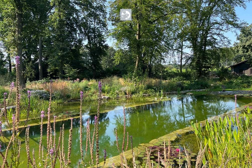 Natural Biotop swimming pond with lush waterside planting