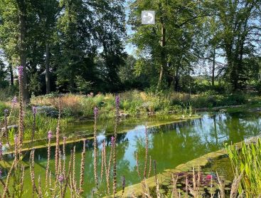 Natural Biotop swimming pond with lush waterside planting