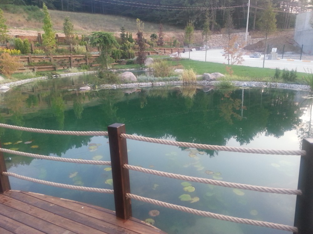 Bolu Narven Landscape and Lake Project