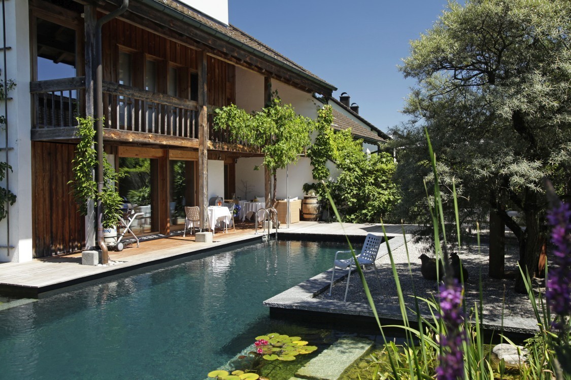 cozy-garden-with-natural-pool
