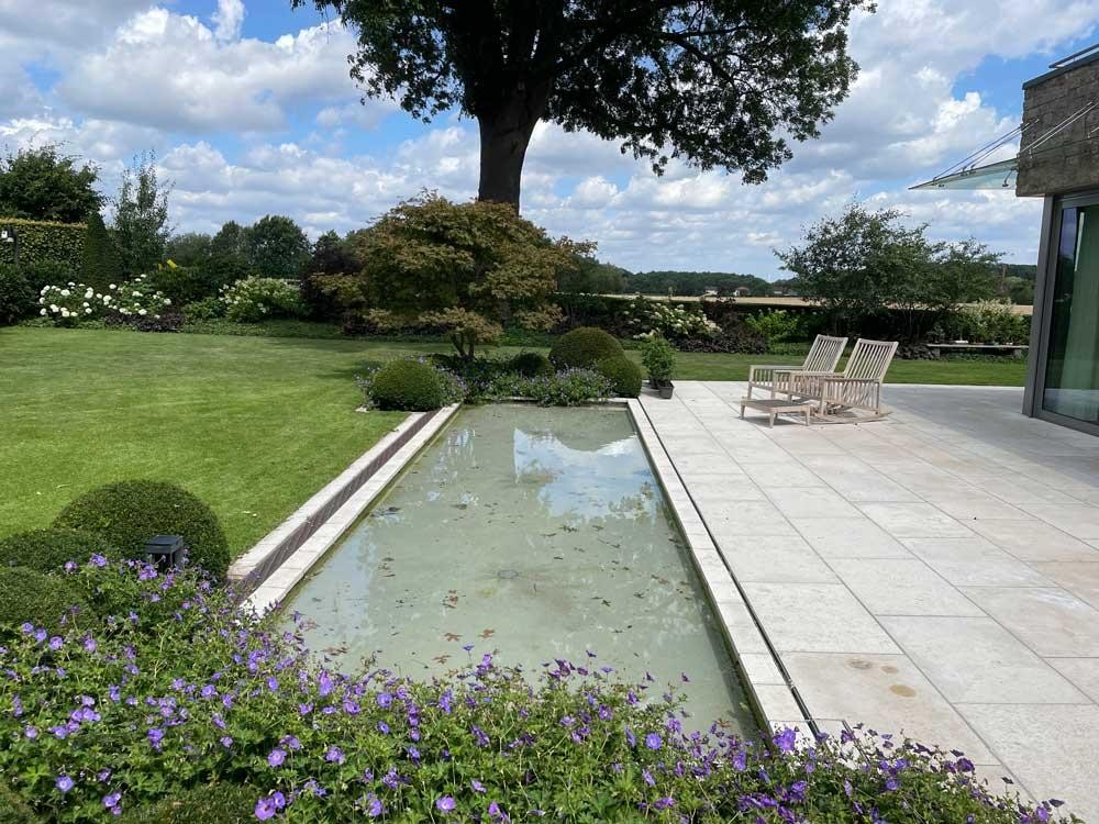 Former pool with relaxation area, flowers and large tree