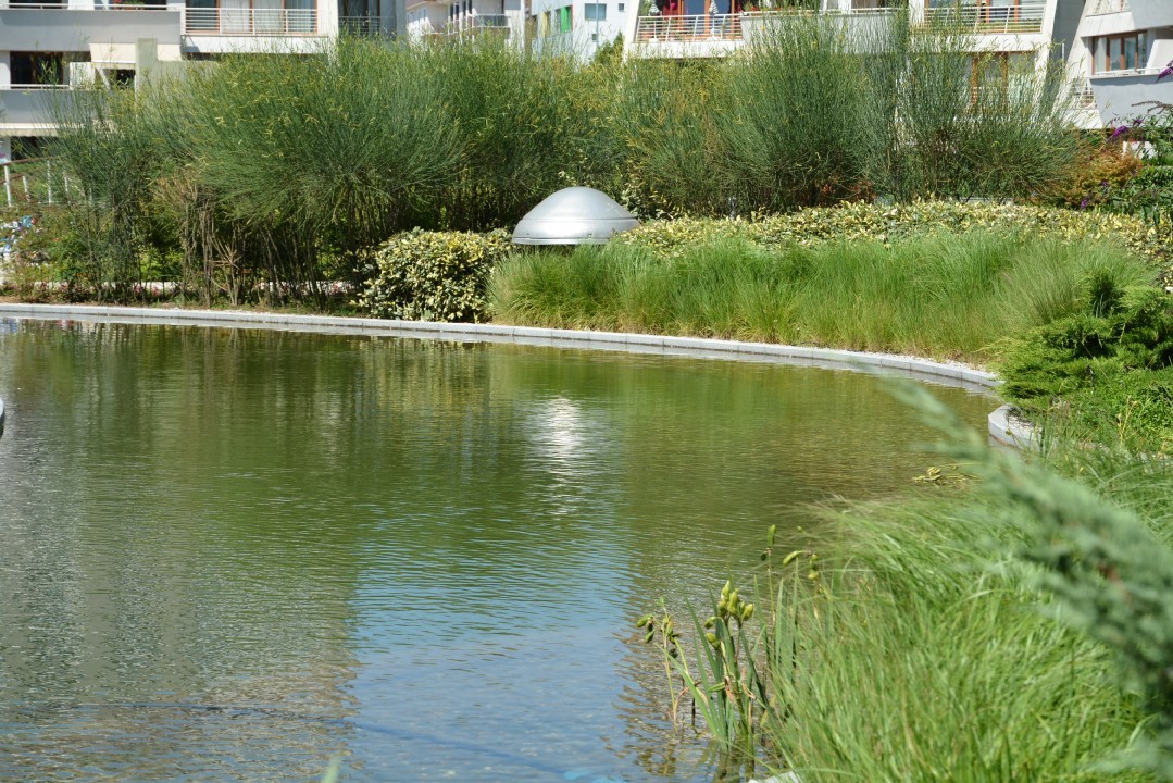Kelebekia Residential Development Lanscaping Pond