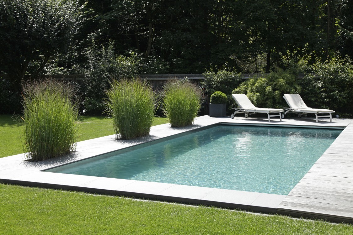 living-Pool-with-separate-fish-pond