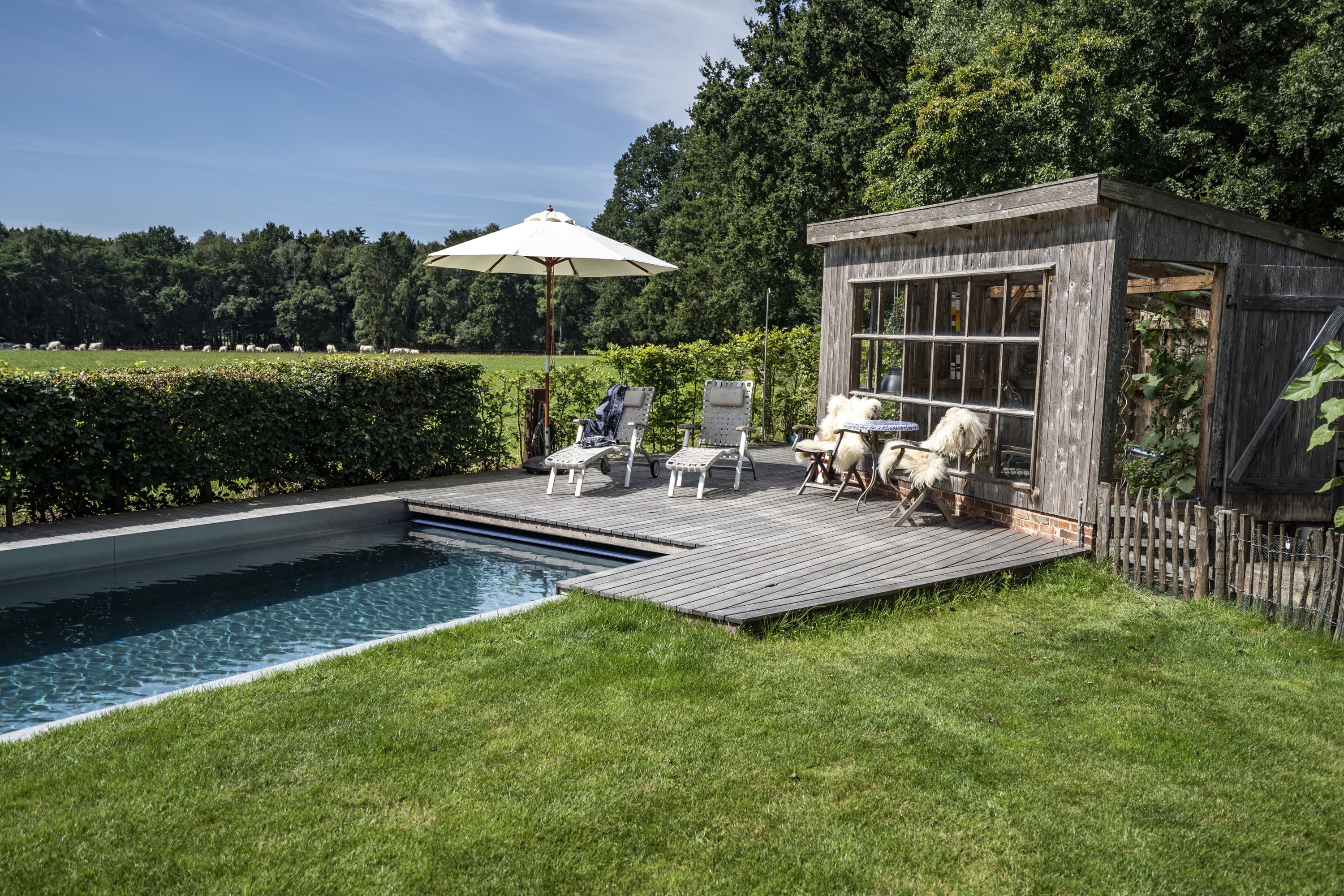 living-pool-in-the-middle-of-nature-Wildeshausen-DE-2