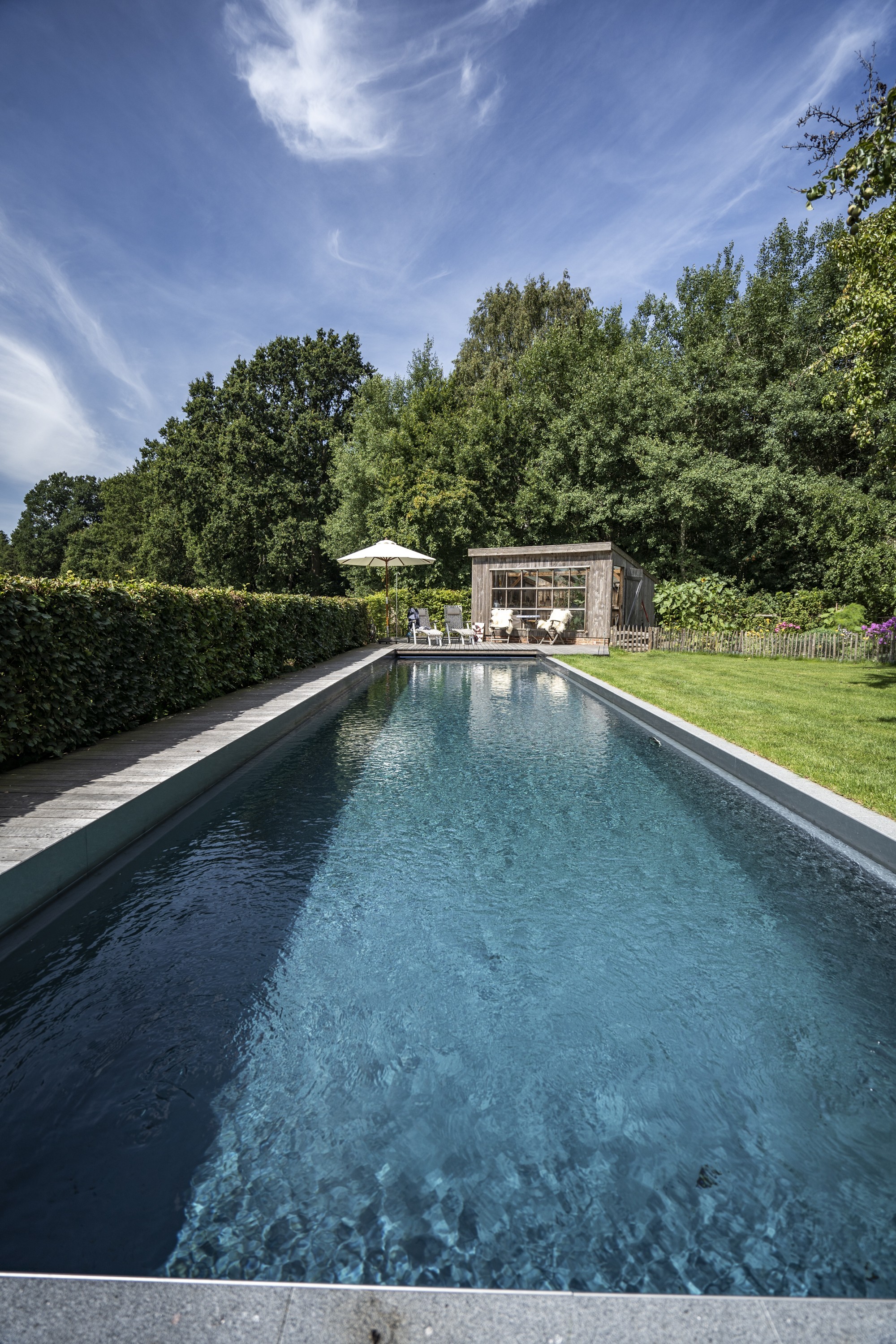 living-pool-in-the-middle-of-nature-Wildeshausen-DE-3
