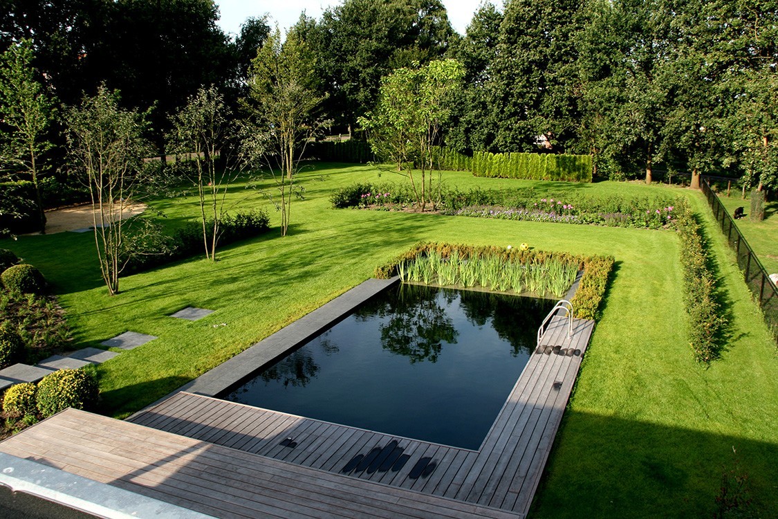 Living Pool in the Netherlands Featuring Clean Design