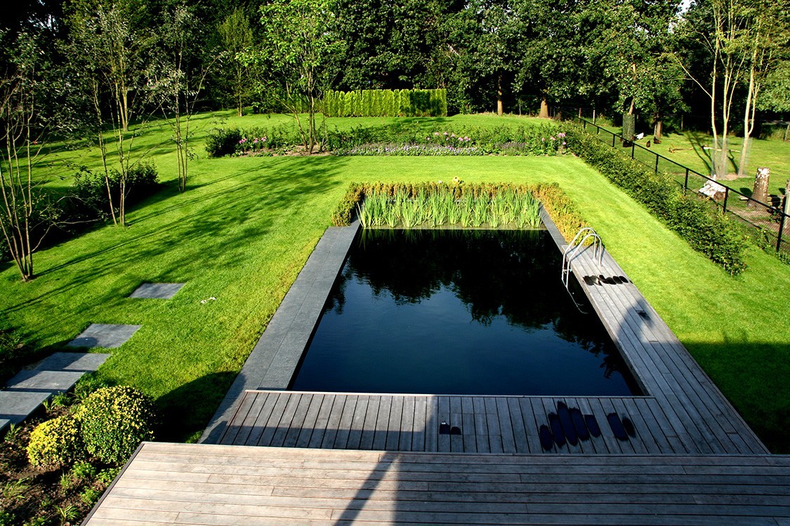 Living Pool in the Netherlands Featuring Clean Design