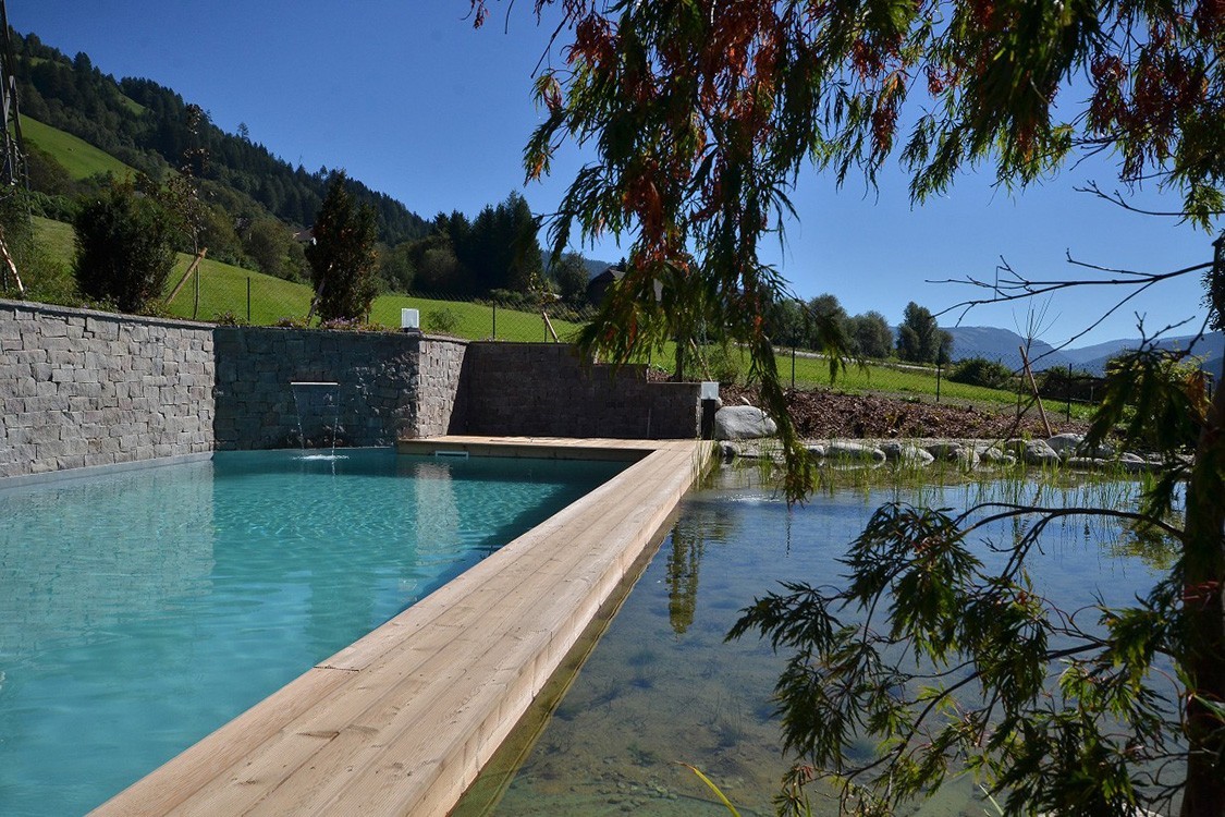 Living Pool in Austria for Organic Winegrowers