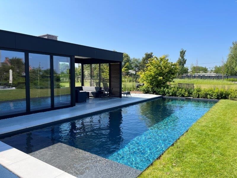 Modern natural pool in elegant design with crystal clear water in Belgium