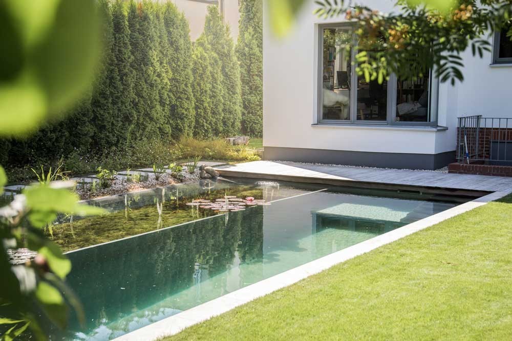 Modern swimming pond by the house with clean lines and regeneration zone in the garden