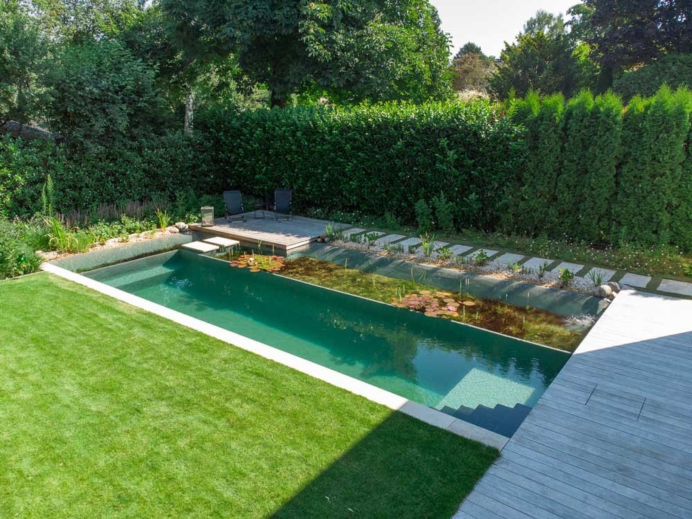 Modern swimming pond with clean lines and plant zone in a contemporary garden