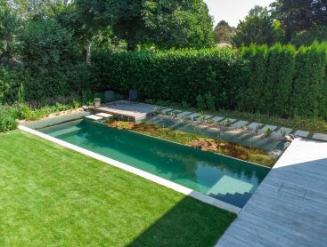 Modern swimming pond with clean lines and plant zone in a contemporary garden