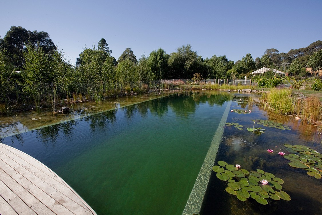 natural pool for B&B in Australia