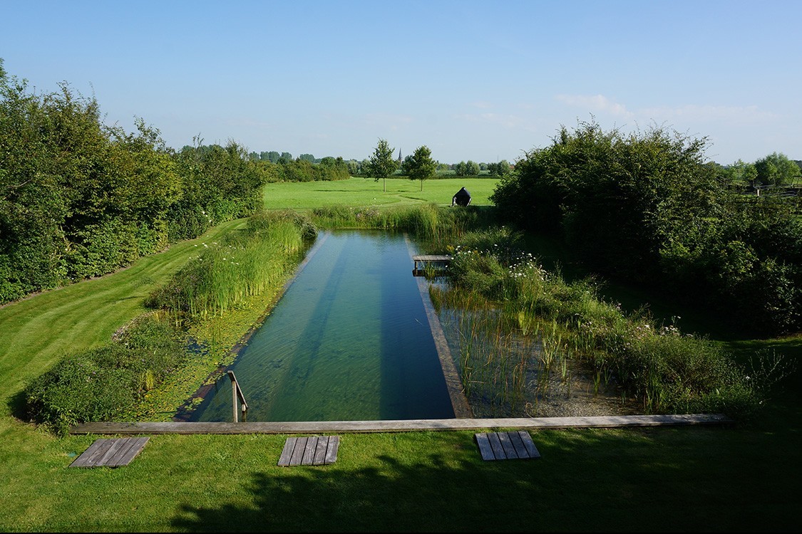 natural pool  in Belgium  in clear  and plain design