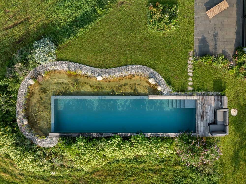 Modern natural pool with infinity design and regeneration zone viewed from above