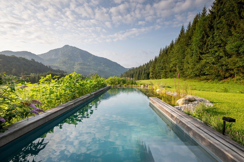 Natural pool with clear water surrounded by plants and a panoramic mountain view