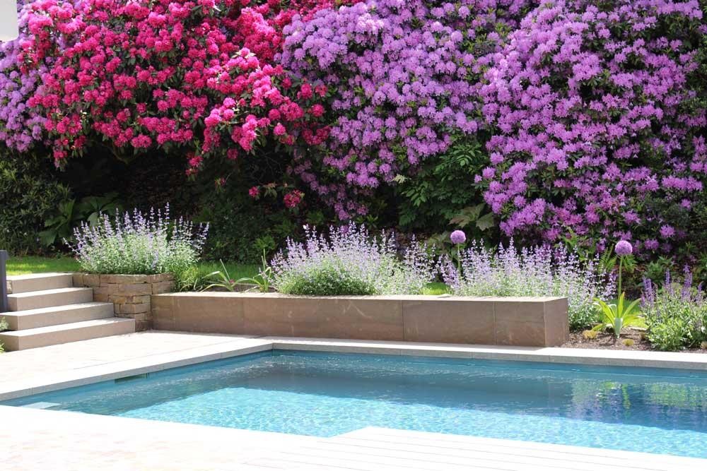 Natural pool by the house with wooden deck and blooming garden