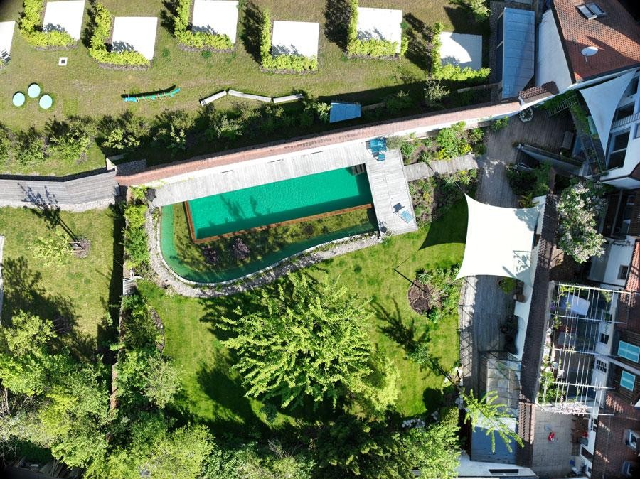 Natural pool from above with timber deck and natural garden