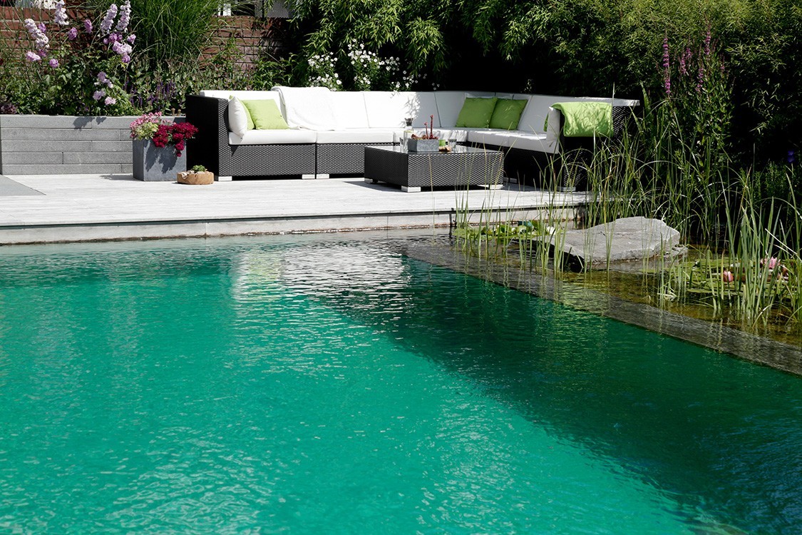 natural pool with sun deck