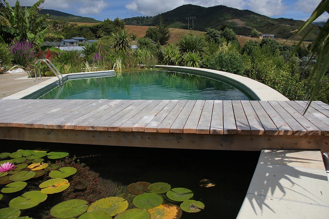 natural pool in new zealand with stunning view