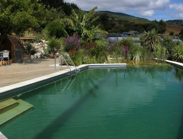 natural pool in new zealand with stunning view