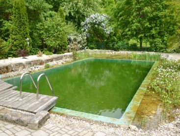 bio pool conversion in germany