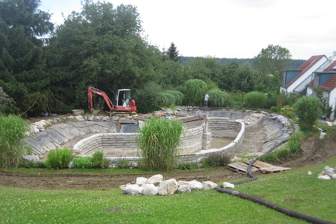 natural pool renovation in germany