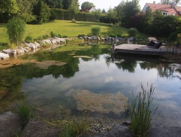 natural pool renovation in germany