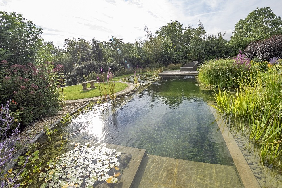 natural pool renovation with components of BIOTOP