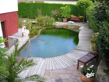 natural pool in Germany on a small space