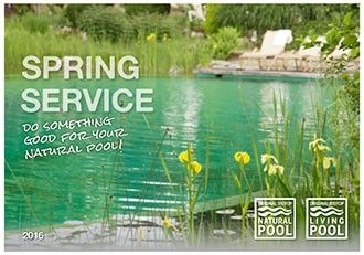 Natural Pool Spring Service
