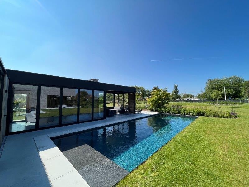 A natural pool from Biotop in perfect harmony with a modern house and light coloured stone terrace