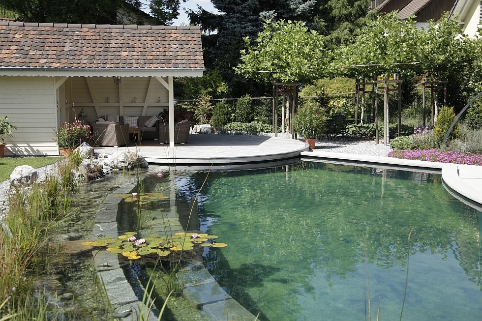 Natural Pool in Switzerland with Unconventional Design Ideas