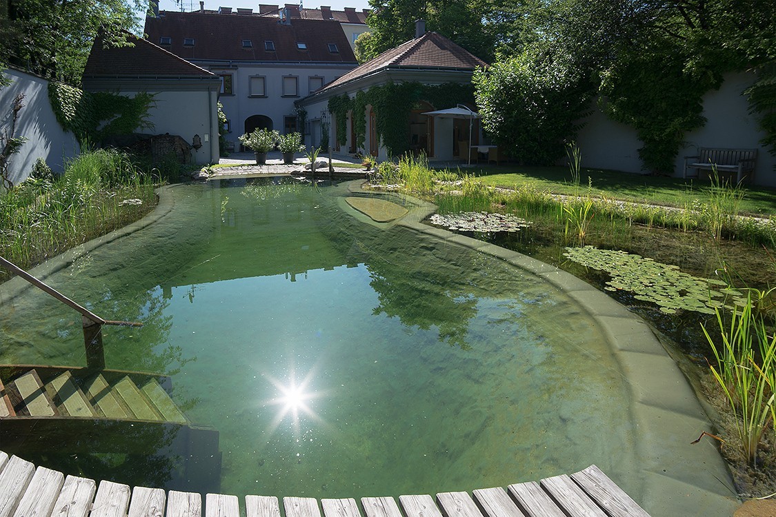 natural pool in the middle of vienna