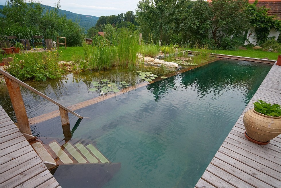 natural pool with corner elements