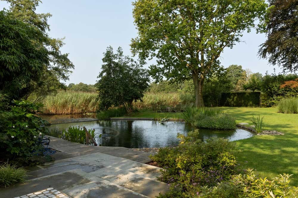 Natural pool with organic shape in a spacious garden with reed zone