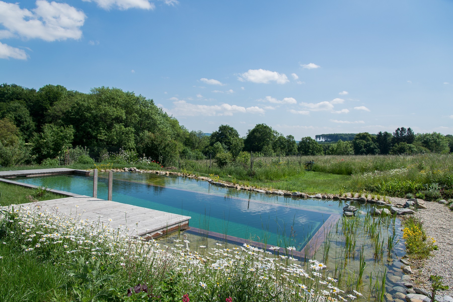 A Natural Pool with a view of the "Vienna Woods"