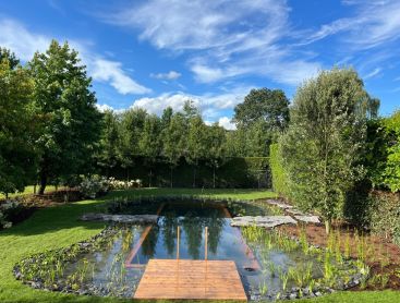 Idyllic natural pool with wooden walkway blends harmoniously into the landscape