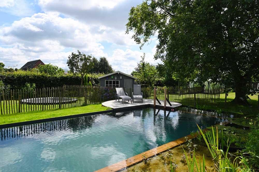 Natural pool with wooden deck, loungers and garden shed in a green garden