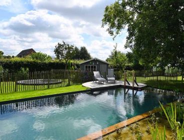 Natural pool with wooden deck, loungers and garden shed in a green garden